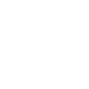 Paypal logo
